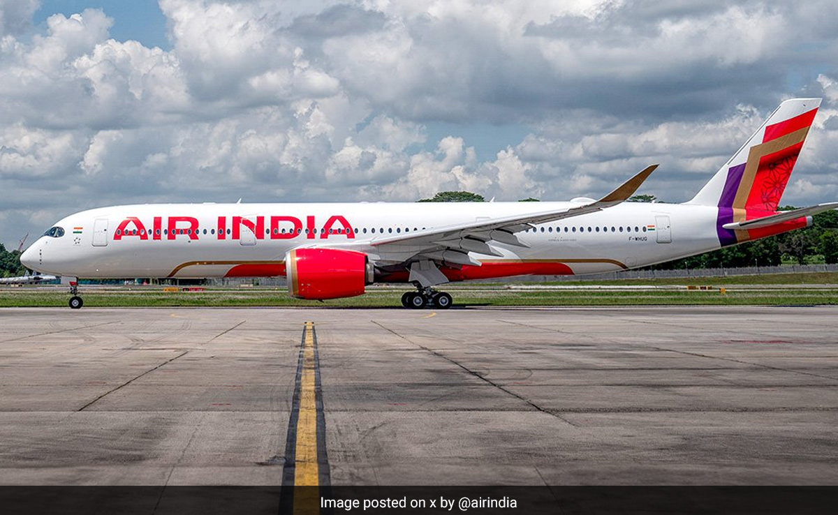 "Please Bear With Us...": Air India CEO's Memo To Staff Amid Vistara Crisis