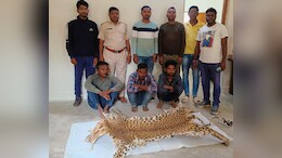 Gariaband: वन विभाग की मिली कामयाबी, तेंदुए की खाल के साथ तस्कर हुए गिरफ्तार