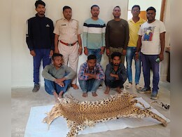 Gariaband: वन विभाग की मिली कामयाबी, तेंदुए की खाल के साथ तस्कर हुए गिरफ्तार Gariaband: वन विभाग की मिली कामयाबी, तेंदुए की खाल के साथ तस्कर हुए गिरफ्तार