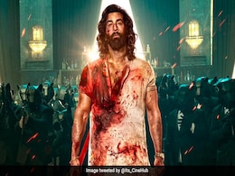 Animal Box Collection Day 1: पहले दिन ही एनिमल ने भारत में टाइगर 3 ही नहीं तोड़ दिया इन फिल्मों का रिकॉर्ड, देखें कितना किया कलेक्शन Animal Box Collection Day 1: पहले दिन ही एनिमल ने भारत में टाइगर 3 ही नहीं तोड़ दिया इन फिल्मों का रिकॉर्ड, देखें कितना किया कलेक्शन