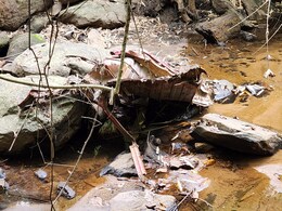 Poll-Day Maoist Attacks A Reminder Of Deadly 2013 Strike In Chhattisgarh's Bastar Poll-Day Maoist Attacks A Reminder Of Deadly 2013 Strike In Chhattisgarh's Bastar