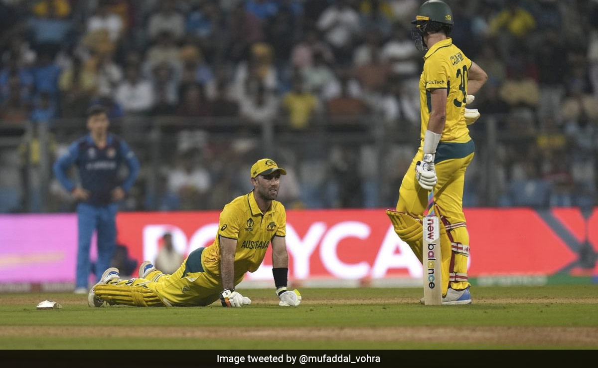 AUS vs AFG: दर्द से छटपटाते ग्लेन मैक्सवेल को 'रनर' क्यों नहीं मिला, जानिए डिटेल्स AUS vs AFG: दर्द से छटपटाते ग्लेन मैक्सवेल को 'रनर' क्यों नहीं मिला, जानिए डिटेल्स