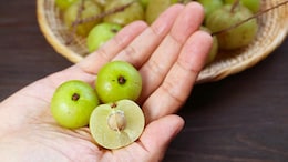 10 Health Benefits Of Consuming Indian Gooseberry (Amla) In Summer
