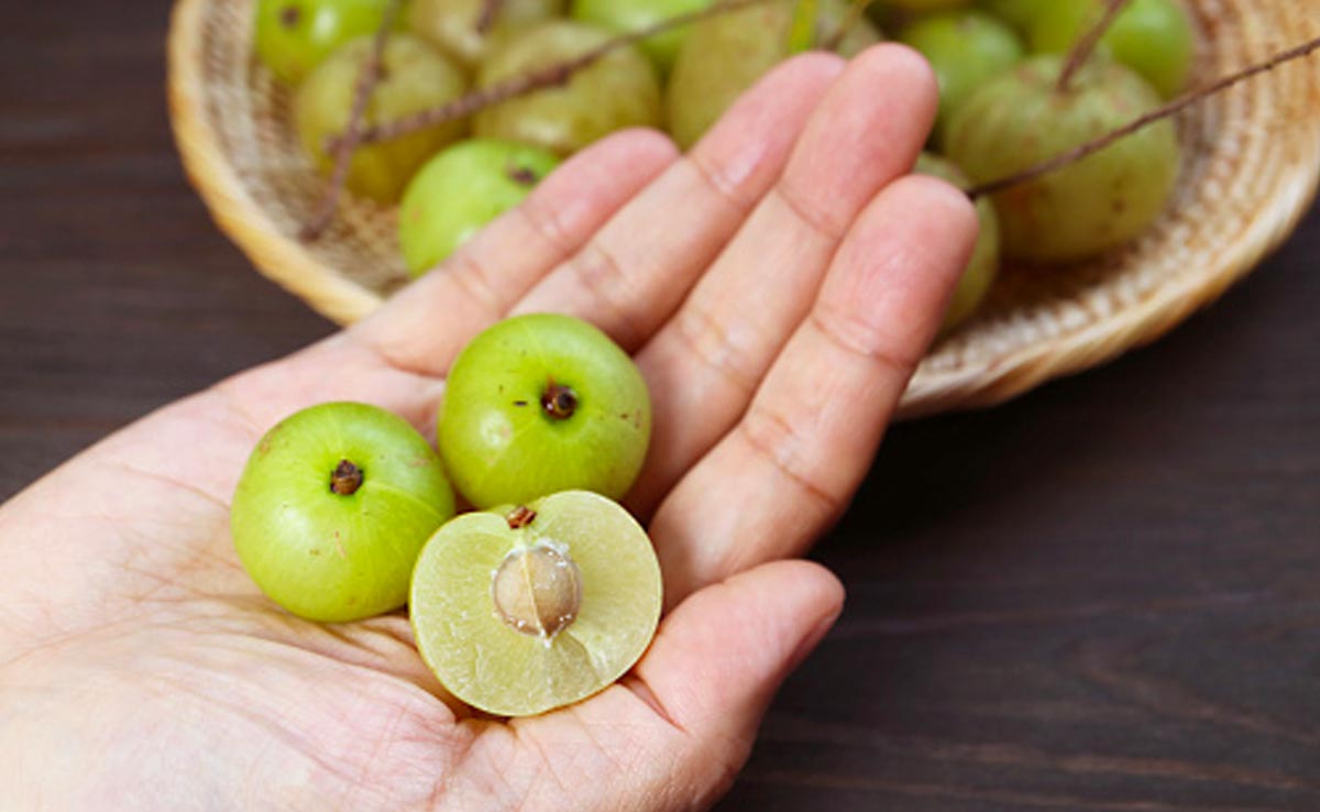 Amla has a cooling effect on the body, making it particularly beneficial during the hot summer months