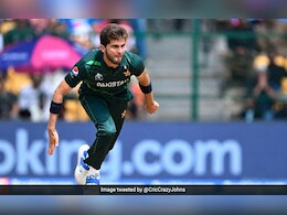 आफ्रिदीनं रिझवानची केली ब्रॅडमनशी तुलना! फॅन्सकडून जोरदार शाळा