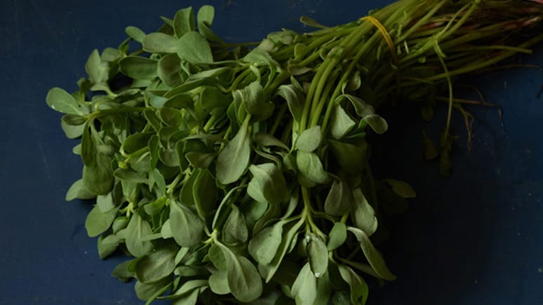 बथुआ का देसी जादू! रायता, पराठा, पकौड़ी समेत इस पत्तेदार सब्जी से बनेंगे 10 टेस्टी आइटम, नोट करें रेसिपी