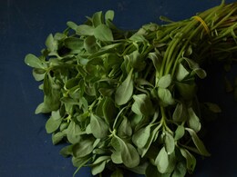 सेहत का अनमोल तोहफा है सर्दियों में मिलने वाला ये साग, स्वाद में भी है कमाल, जानें किसे खाना चाहिए