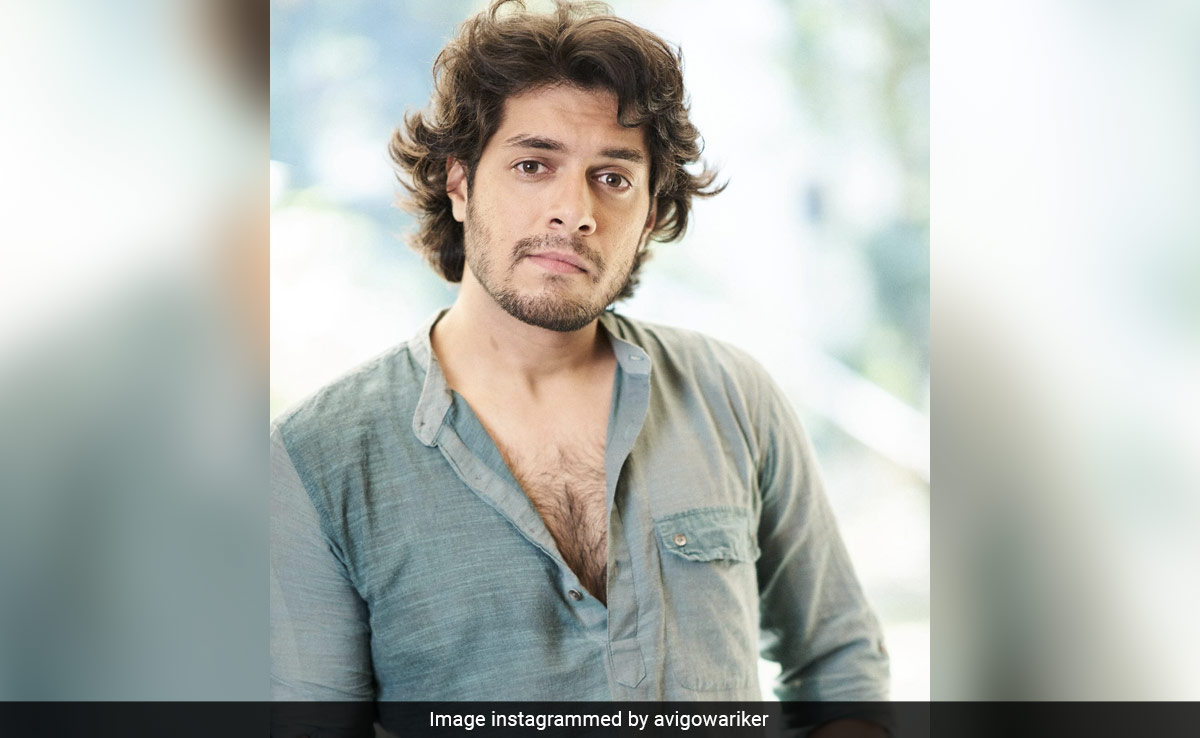 Aamir Khan's Son Junaid To Portray A Transwoman In A Play: Report