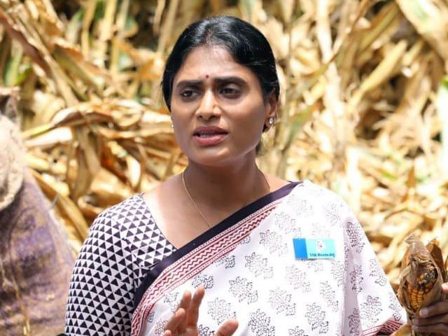 YS Sharmila Reddy और उनके पति के पास है 181 करोड़ रुपये की संपत्ति, कार एक भी नहीं