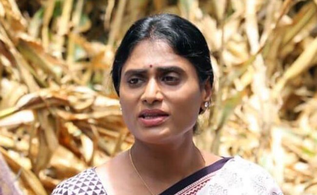 YS Sharmila ने आंध्र प्रदेश को विशेष राज्य देने की मांग की, किया विरोध प्रदर्शन