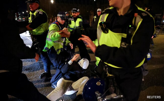 Over 120 Arrested In London As Pro-Palestine Rally Draws Counter-Protests