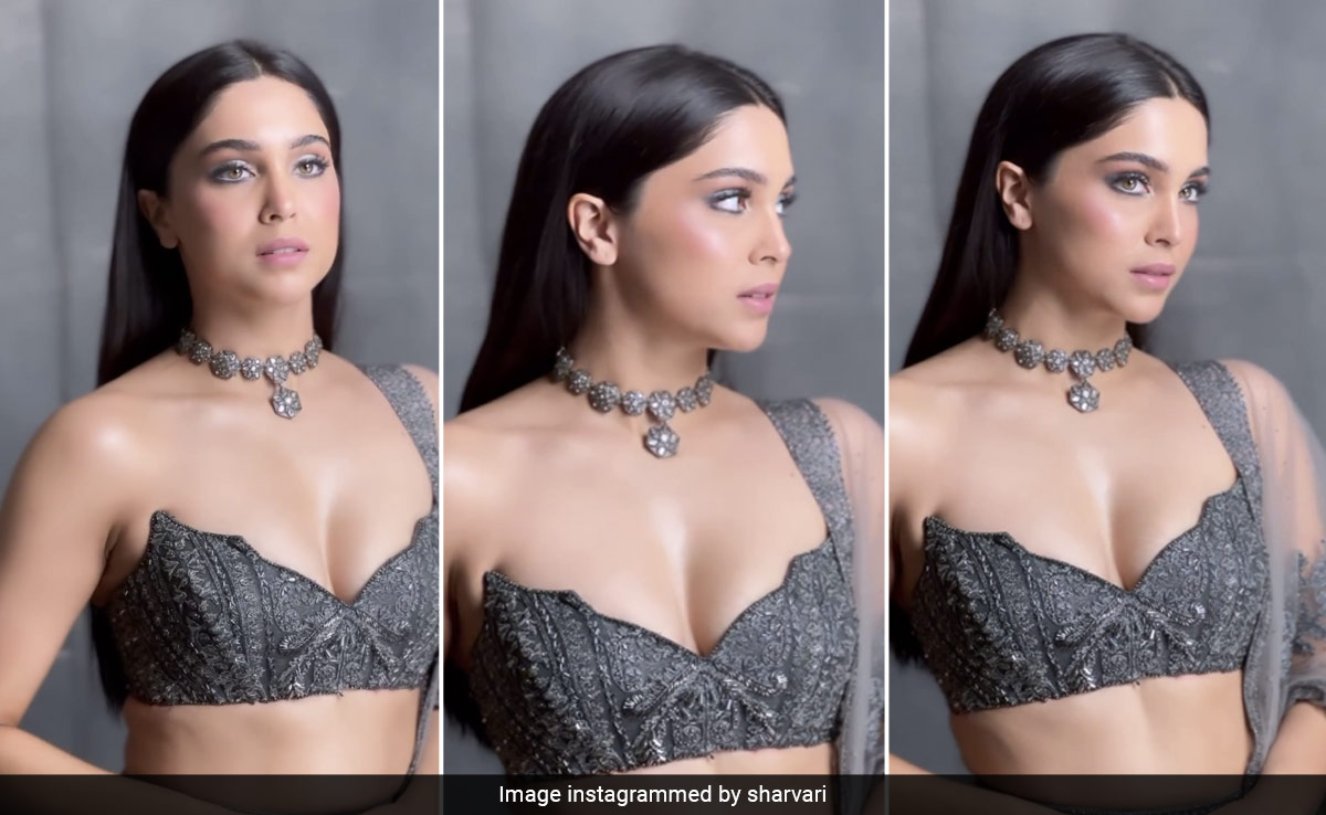 Sharvari Wagh Give Golds A Break To Make Gunmetal Makeup Look As Festive