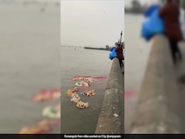 Mumbai Civic Body Slaps Rs 10,000 Fine On Man Who Dumped Trash In Sea Near Gateway Of India Mumbai Civic Body Slaps Rs 10,000 Fine On Man Who Dumped Trash In Sea Near Gateway Of India