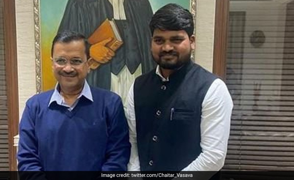 Attack On Entire Tribal Society: AAP After Party MLA's Wife Arrested In Gujarat