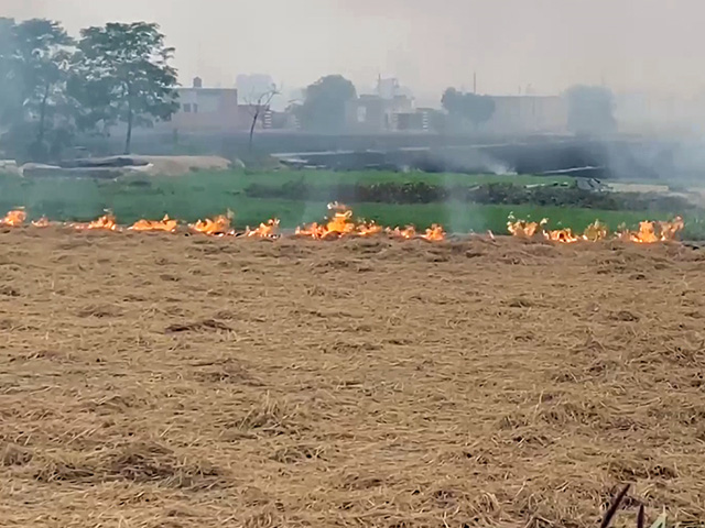 "Your Job To Control It": Supreme Court Rebukes Delhi, Punjab On Pollution