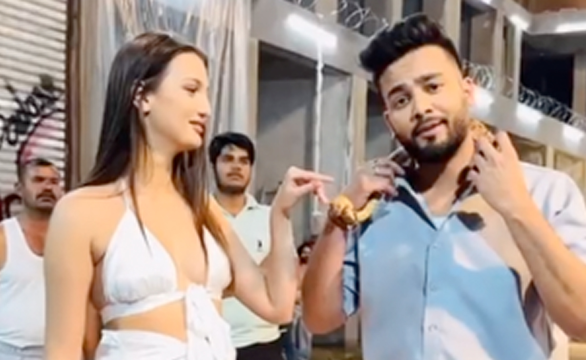 'Bigg Boss' OTT Winner Elvish Yadav Accused Of Hosting Raves, Snake Venom Found