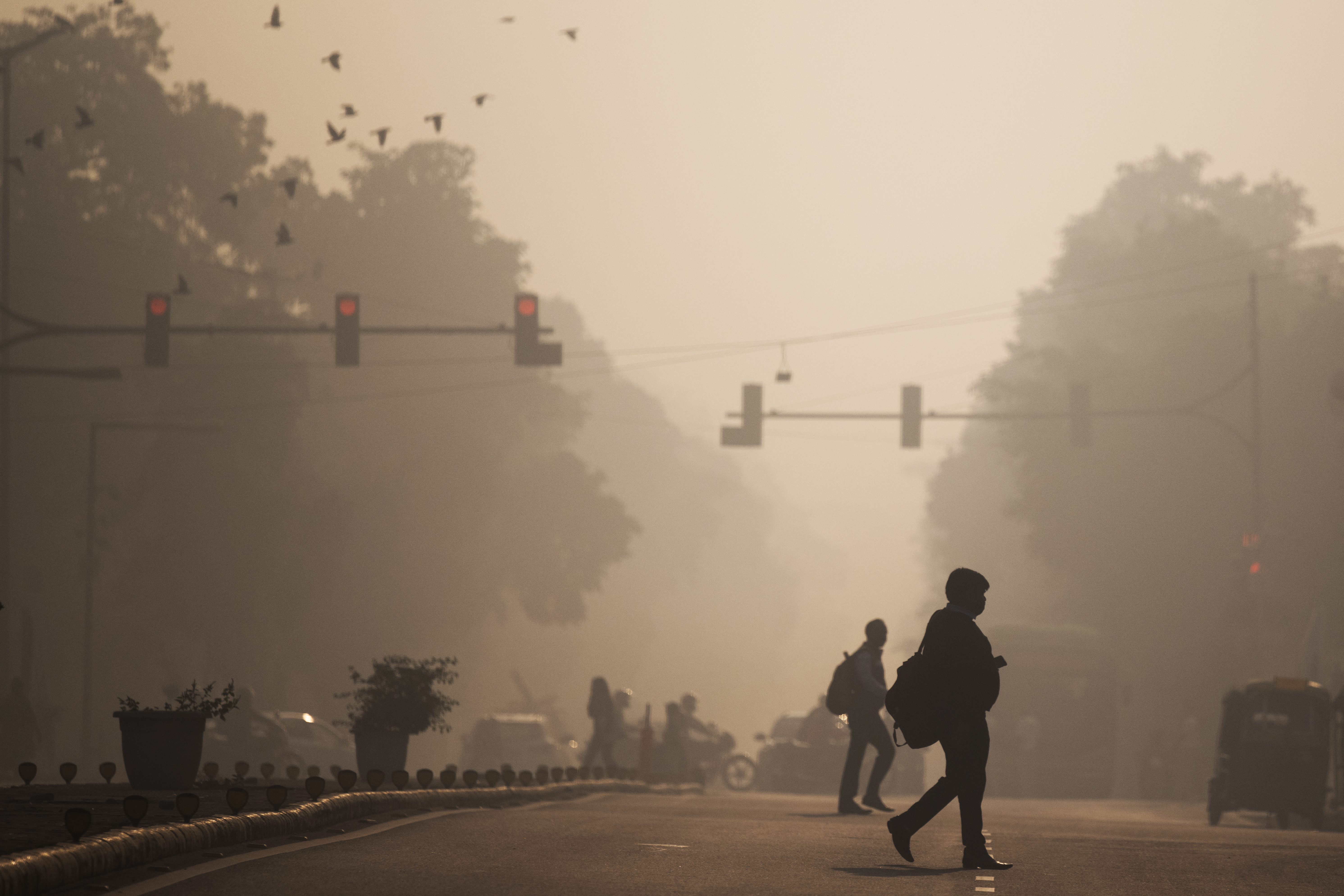 Pollution Levels In Delhi Nearly 100 Times Higher Than WHO Limits