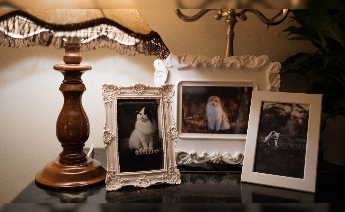 Latest and Breaking News on NDTV Latest and Breaking News on NDTV