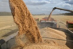 Explained: Centre's Free Foodgrain Scheme That Will Benefit Over 81 Crore People Explained: Centre's Free Foodgrain Scheme That Will Benefit Over 81 Crore People