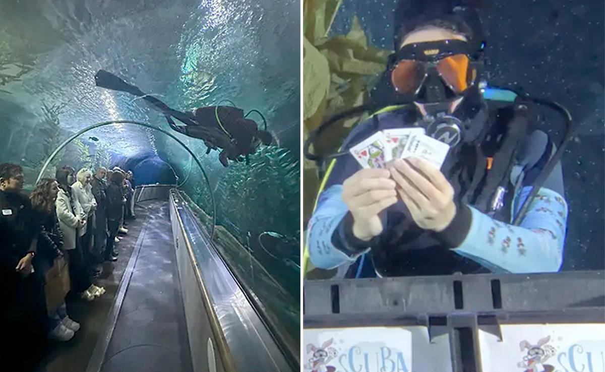 Teen Scuba Diver Sets Record, Performs 38 Underwater Magic Tricks