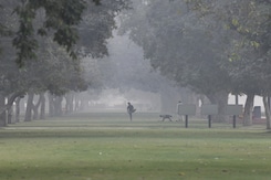 Delhi Fights Pollution With Traffic Curbs But Farm Fires Remain Big Threat Delhi Fights Pollution With Traffic Curbs But Farm Fires Remain Big Threat