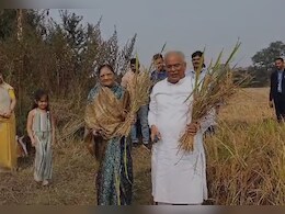छत्तीसगढ़ सीएम भूपेश बघेल धान काटने पहुंचे खेत, सरकार बनाने पर कह दी बड़ी बात
