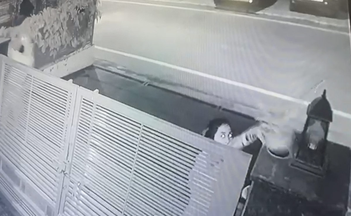 On Camera, 2 Women Arrive In Sedan, Steal Flowerpots From House
