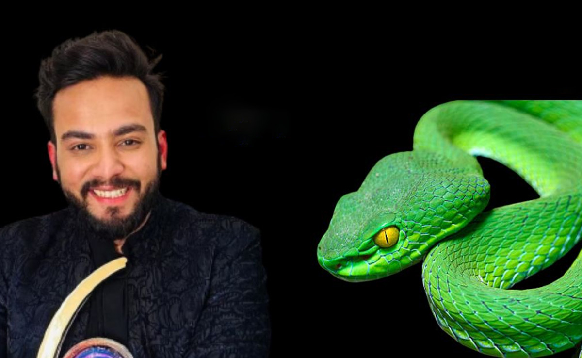 एल्विश यादव कांड: रेव पार्टियों में कैसे होता है सांपों से नशा? यहां जानिए सबकुछ