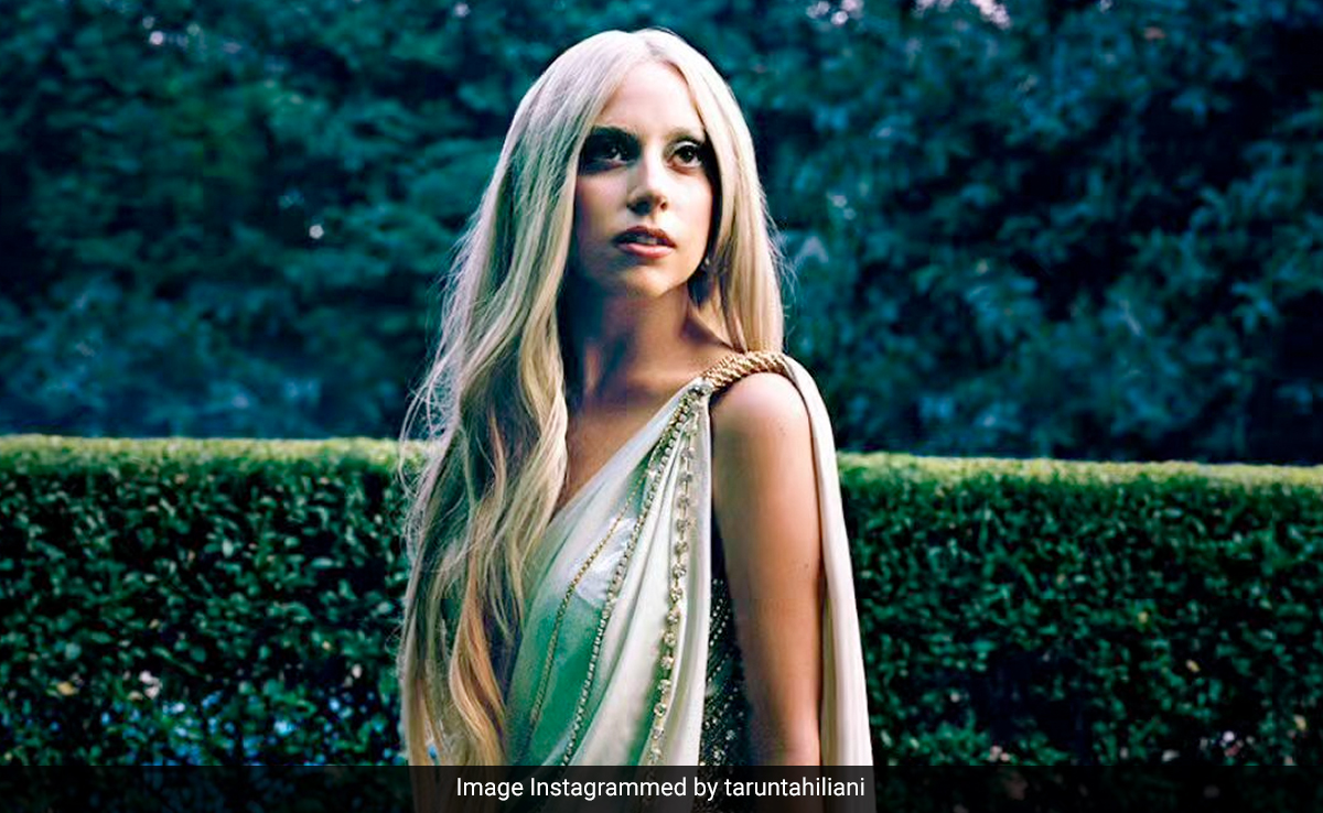 Tarun Tahiliani's Stunning Throwback To 2011 When Lady Gaga Looked Absolutely Exquisite In His Concept <i>Saree</i>