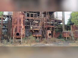 भोपाल गैस त्रासदी की 39वीं बरसी से ठीक पहले NGO का दावा, पीड़ितों में 4 बिमारियों की आशंका सबसे ज्यादा