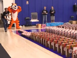 NGO Sets World Record Using Cereal Boxes In Domino Fashion