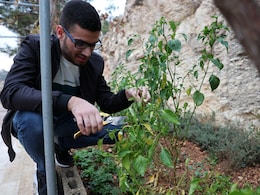 "Was Handcuffed, Beaten": Palestinian Recalls Arrest By Israel Army In West Bank