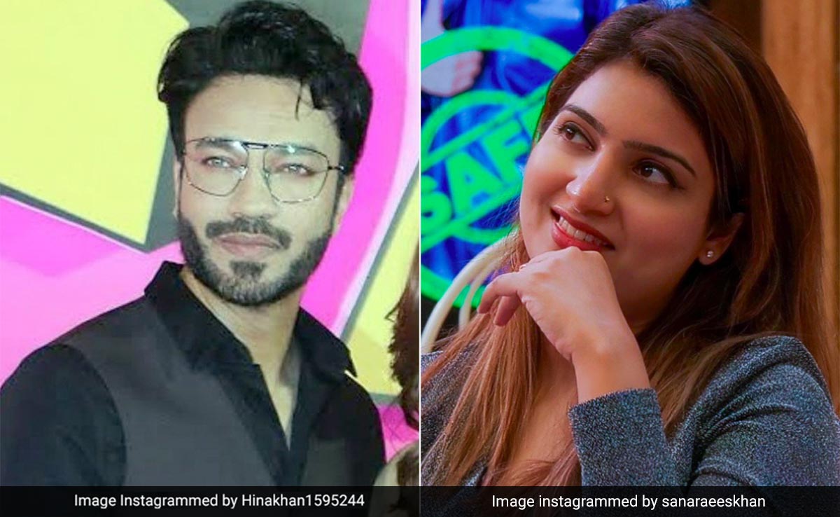 <i>Bigg Boss 17</i>: Vicky Jain And Sana Raees Khan's War Of Words