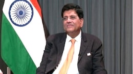 "Big Value That Democracy Brings To The Table": Piyush Goyal On China, Supply Chains
