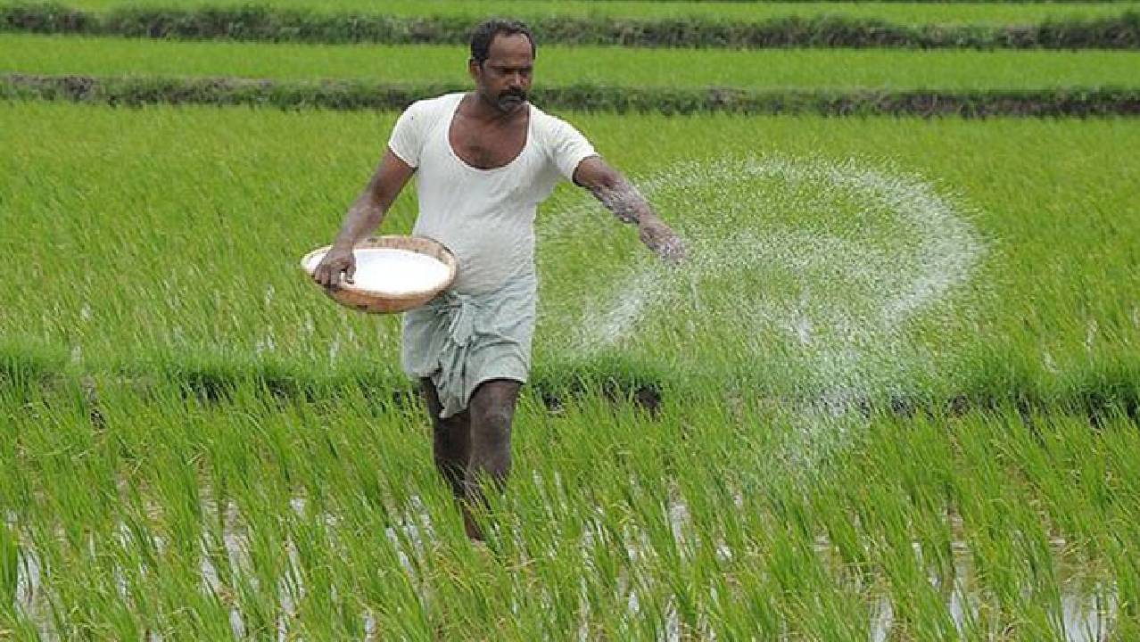 मध्य प्रदेश में घंटों इंतजार के बाद भी किसानों को नहीं मिल रही खाद