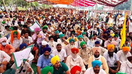 Farmers' Indefinite Dharna In Punjab Over Non-Payment Of Sugarcane Dues