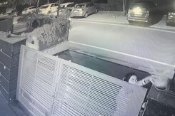 मोहाली में कार से आईं 2 महिला और चुरा लिए फूलों के गमले, CCTV में कैद हुई घटना मोहाली में कार से आईं 2 महिला और चुरा लिए फूलों के गमले, CCTV में कैद हुई घटना