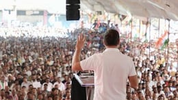 राहुल गांधी का बड़ा बयान, बोले, 'जाति जनगणना देश का एक्स-रे, सत्ता में आने पर कांग्रेस राजस्थान में कराएगी'