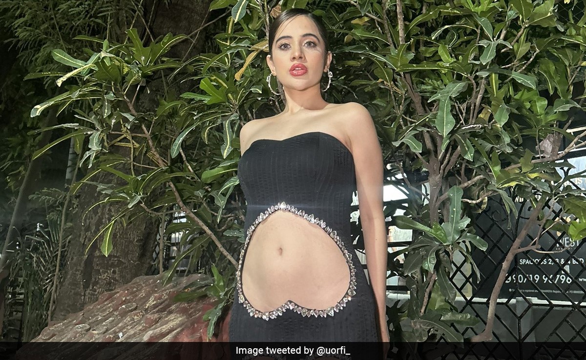 Uorfi Javed's Black Heart Cutout Dress Is Not For The Faint Of Heart