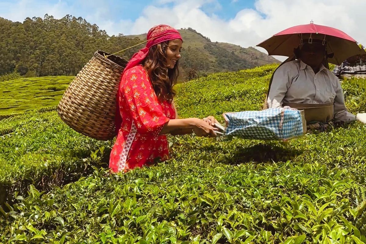 Discover Kerala's Hidden Gems: Suman Kothari Recommends Unmissable Adventures