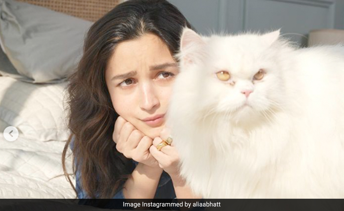 <i>Koffee With Karan 8</i>: Alia Bhatt Says Sidharth Malhotra Gave Her "First Love Of My Life..."