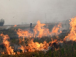 "इस नई किस्म की फसल से किसानों को नहीं होगी पराली जलाने की जरूरत": पूसा IARI साइंटिस्ट "इस नई किस्म की फसल से किसानों को नहीं होगी पराली जलाने की जरूरत": पूसा IARI साइंटिस्ट