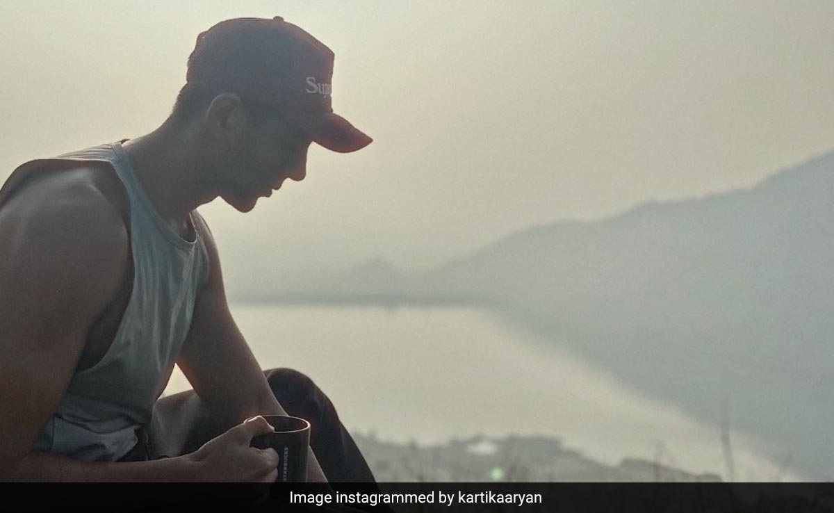On Kartik Aaryan's Sun-Kissed Picture, Mini Mathur Leaves This Comment