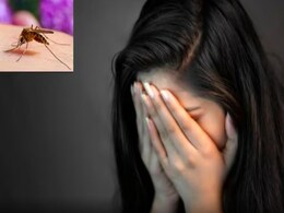 प्यार और टकरार के बीच मच्छर बना विलेन, इस टीनएजर गर्ल की लव स्टोरी हुई वायरल प्यार और टकरार के बीच मच्छर बना विलेन, इस टीनएजर गर्ल की लव स्टोरी हुई वायरल