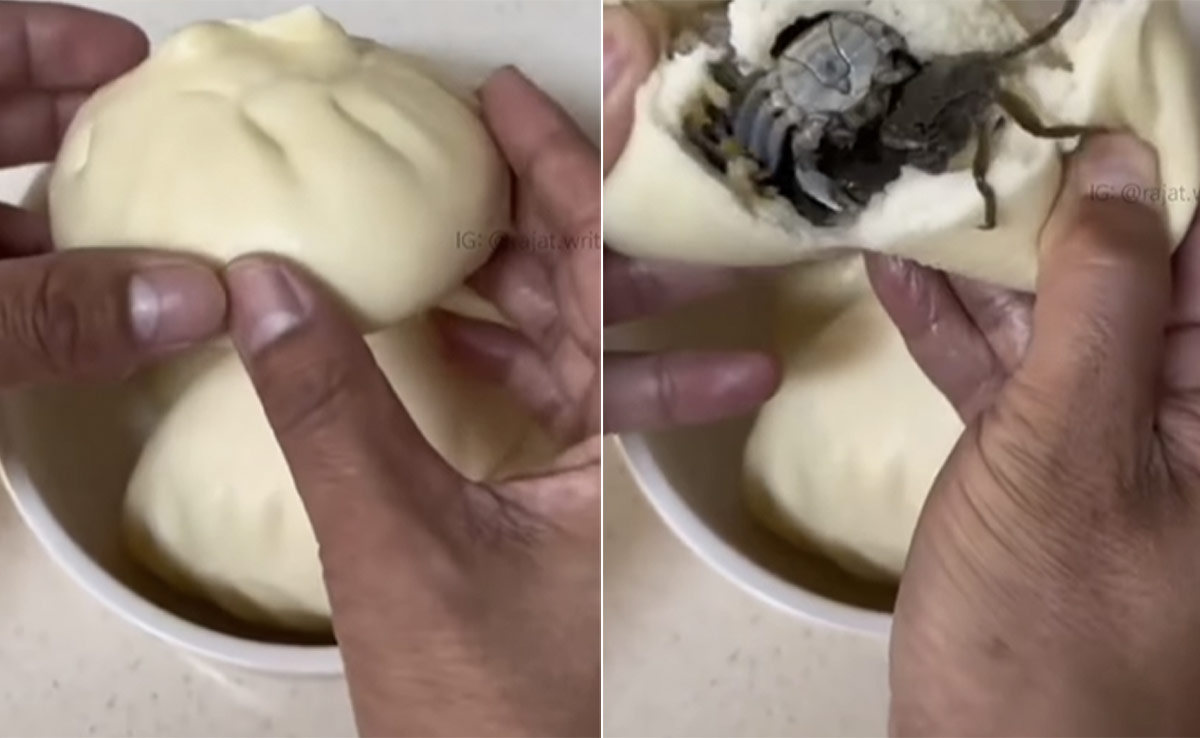 MOMOS खाने के शौकीनों को हिलाकर रख देगा ये VIDEO, देखकर पकड़ लेंगे माथा