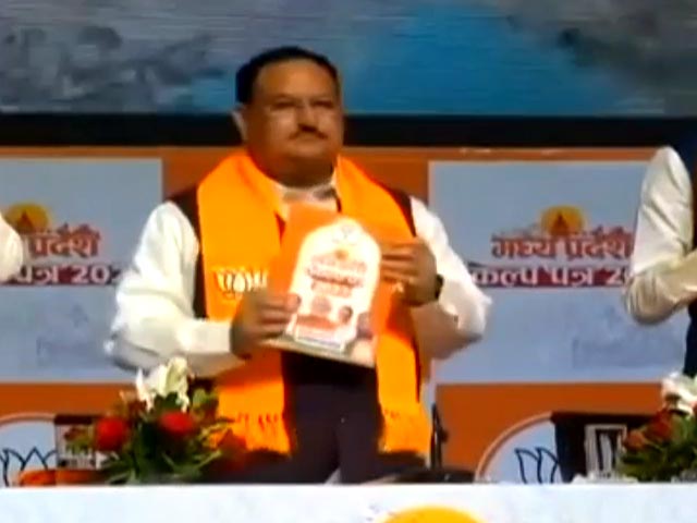 मध्य प्रदेश में भारतीय जनता पार्टी के घोषणा-पत्र में क्या है?