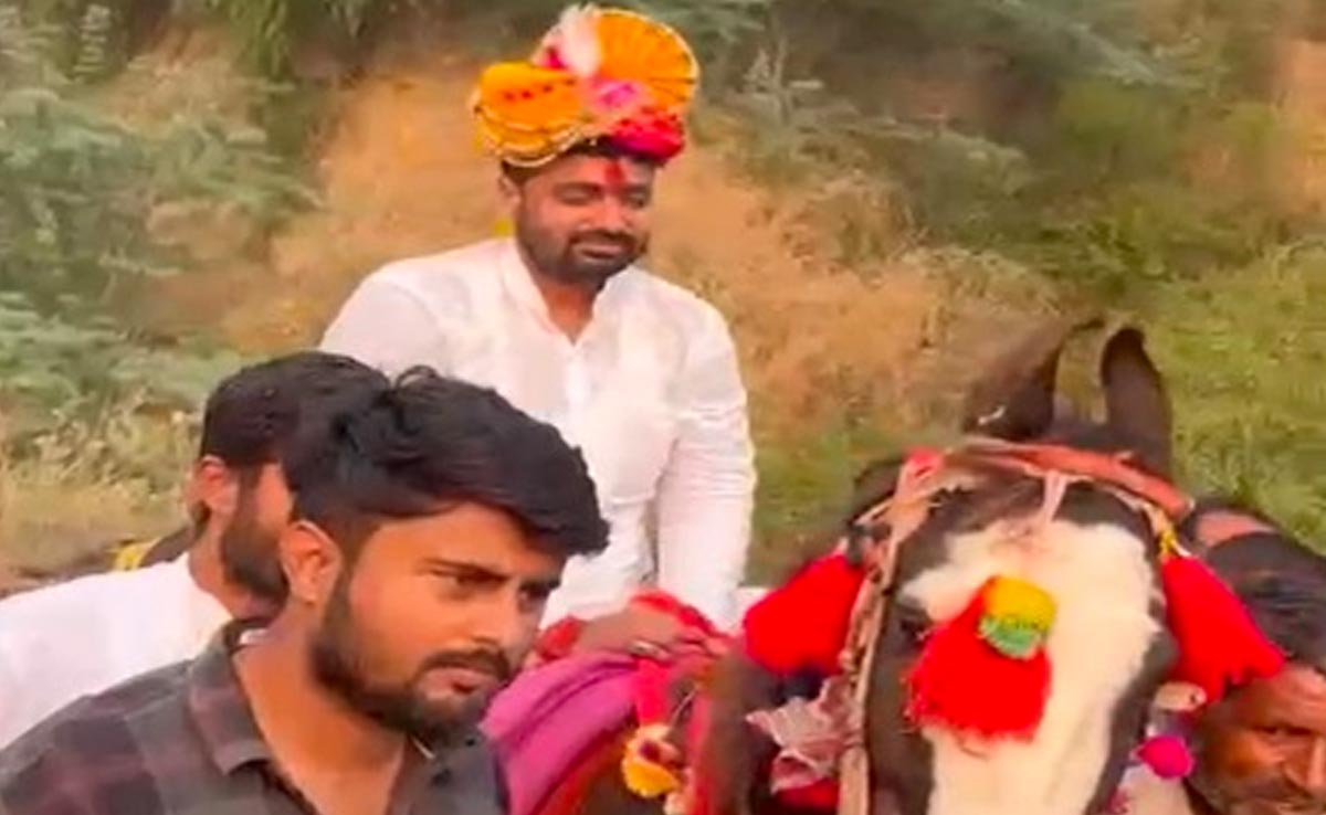 MP Election : सिर पर सजी पगड़ी-घोड़ी की गई तैयार, मतदाता के बीच 'दूल्हे' की तरह पहुंचा कांग्रेस उम्मीदवार