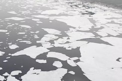 Toxic Foam Floats Near Yamuna River Bank In Delhi Toxic Foam Floats Near Yamuna River Bank In Delhi
