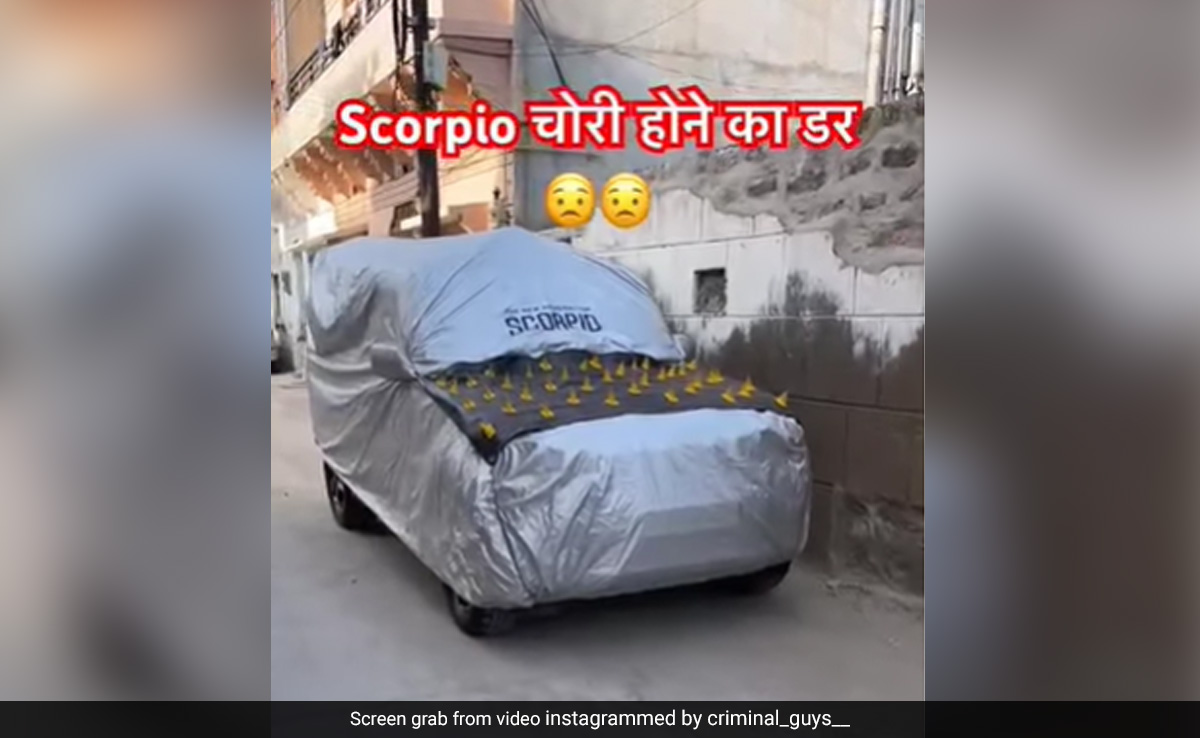 कार चोरी होने से बचाने के लिए शख्स ने किया जबरदस्त जुगाड़, लोग बोले- चोर उल्टे पैर भाग खड़ा होगा...