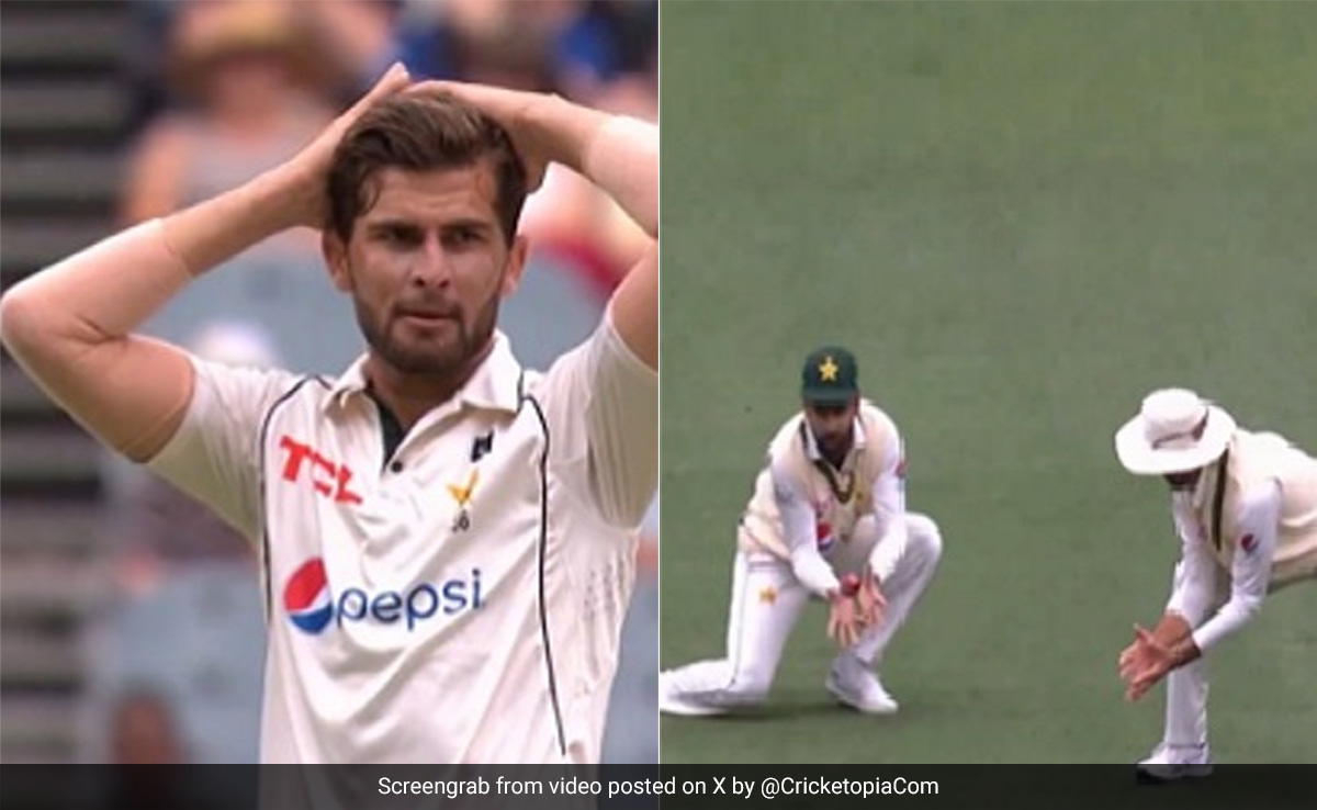 पाकिस्तानी खिलाड़ी ने डेविड वॉर्नर का 'लड्डू कैच' टपका दिया, देखकर शाहीन अफरीदी के उड़े होश, सिर पकड़ लिया, Video